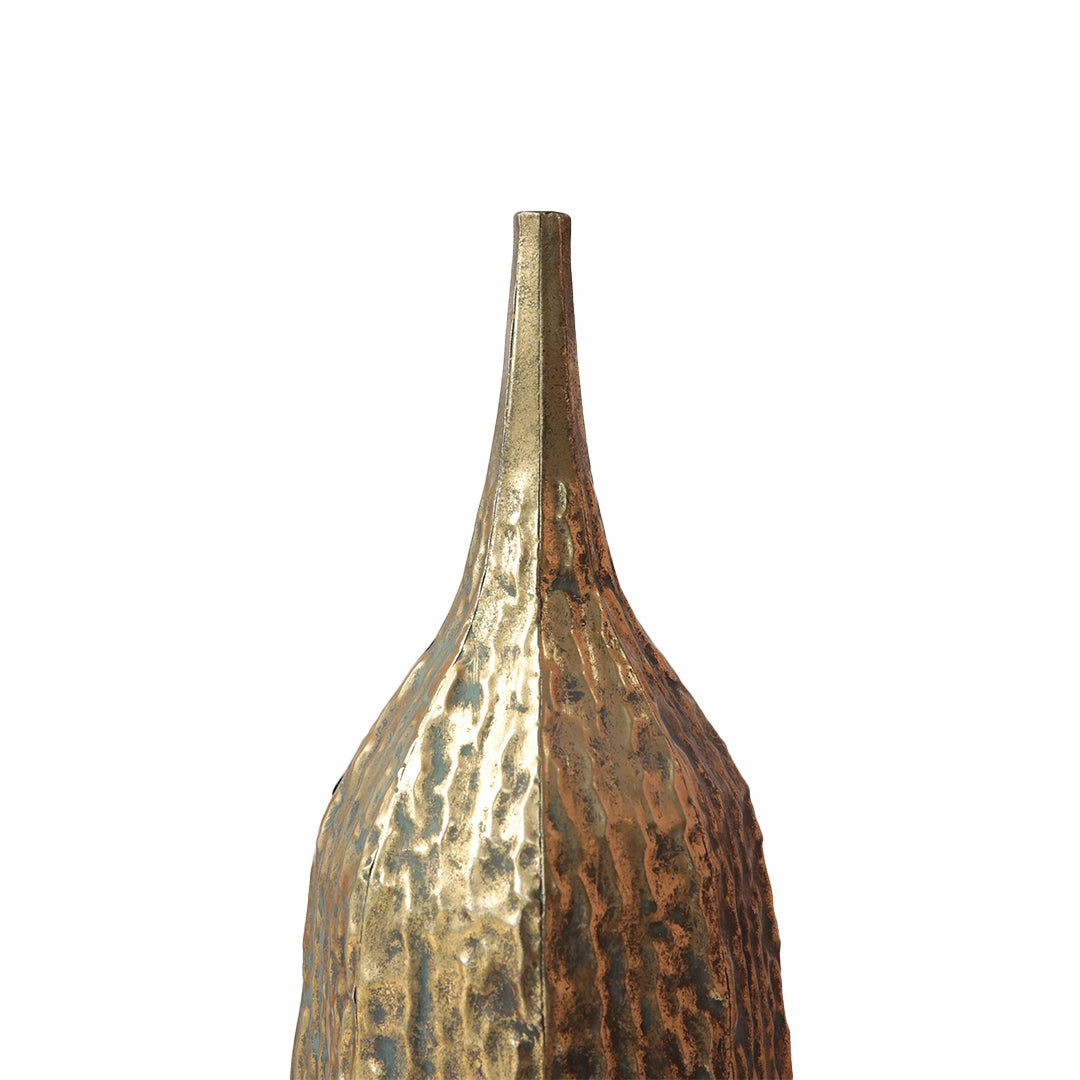 FLORERO GALILEA